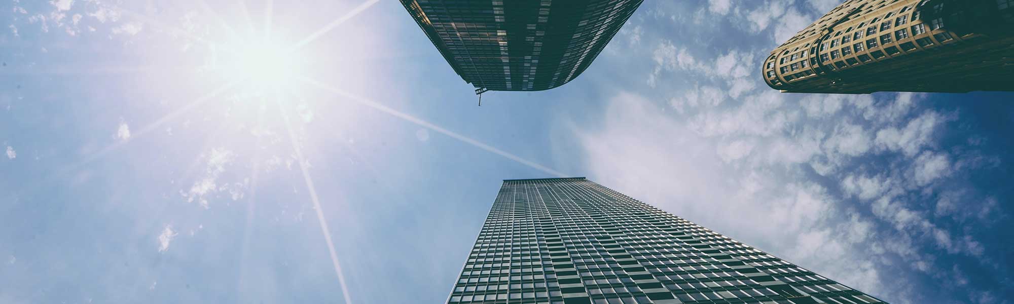 digatus Projektbericht Rolloutmanagement